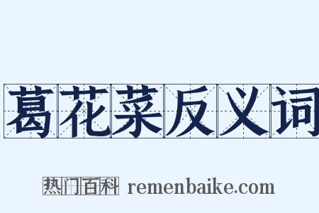 葛花菜反义词是什么意思的图片